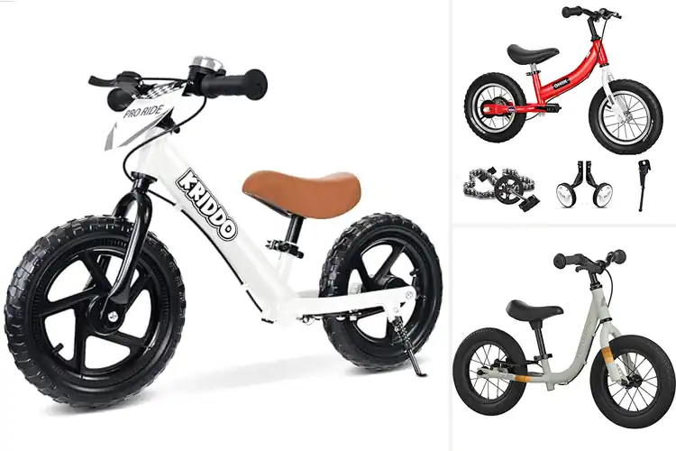 Detailed view of Best Balance Bikes with Brake