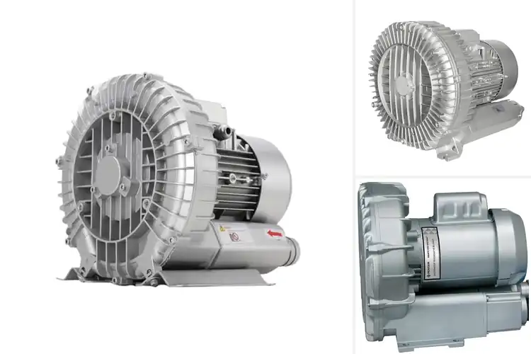 Detailed view of Best Blowers for Fish Farms