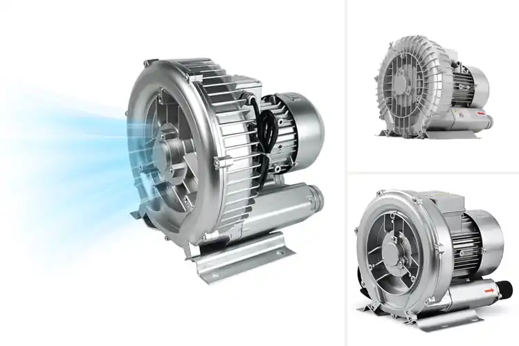 Detailed view of Best Blowers for Fish Ponds
