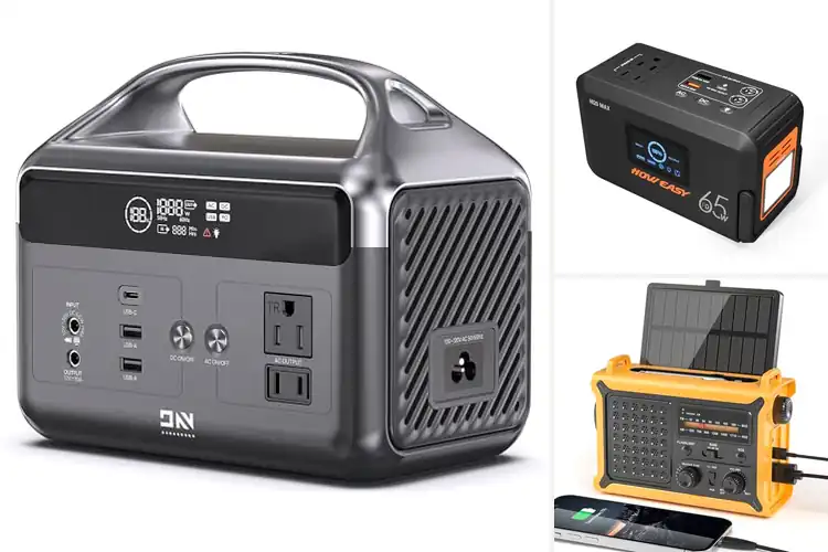 Detailed view of Best Emergency Backup Batteries