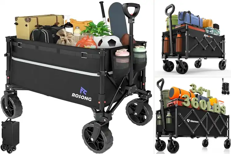 Detailed view of Best Foldable Carts