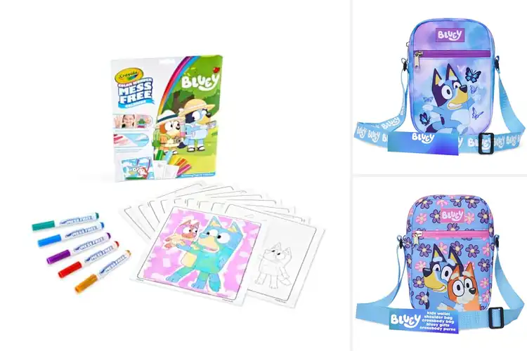 Detailed view of Best Gift Ideas For Bluey Fans: 10 Fun & Safe Picks