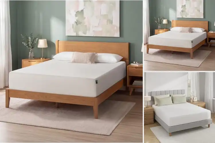 Detailed view of Best Memory Foam Mattresses