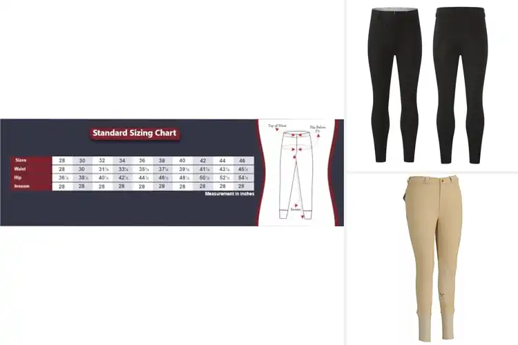 Detailed view of Best Mens Breeches for Comfort & Confident Riding