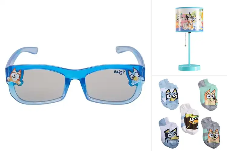 Detailed view of Best Official Bluey Merchandise For Kids