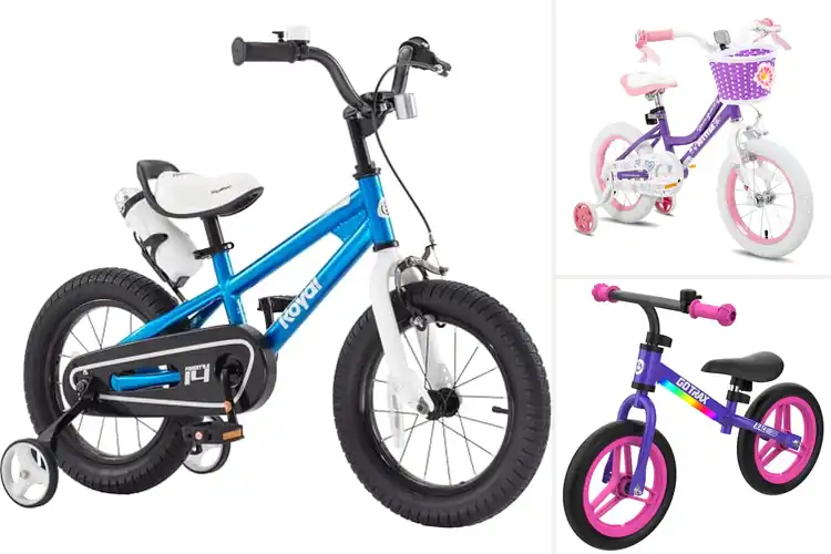 Detailed view of Best Toddler Bikes: 10 Picks for Happy, Confident Kids