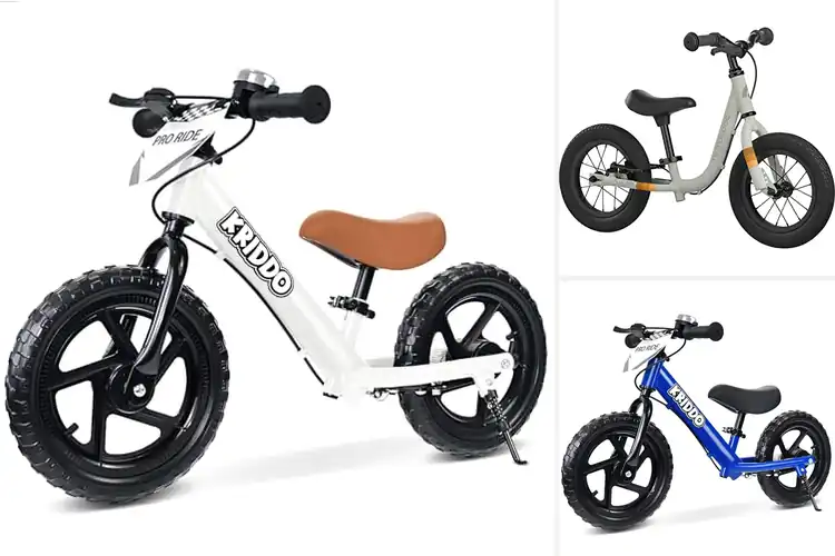 Detailed view of Best Toddler Bikes with Brake